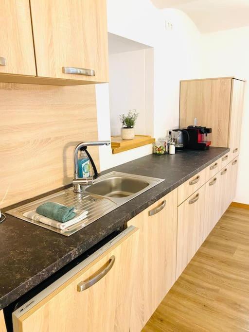 Obernzell Terrassenwohnung Mit Donaublick מראה חיצוני תמונה